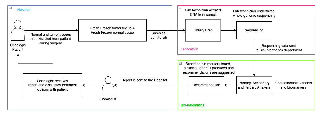 Workflow-ul procesului de analiză genomică